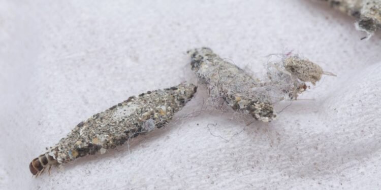 Créditos: depositphotos.com / sweemingyoung