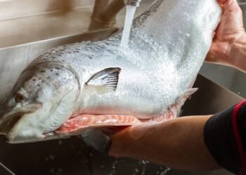 Lavar o peixe antes de preparar? Chef explica por que não fazer isso