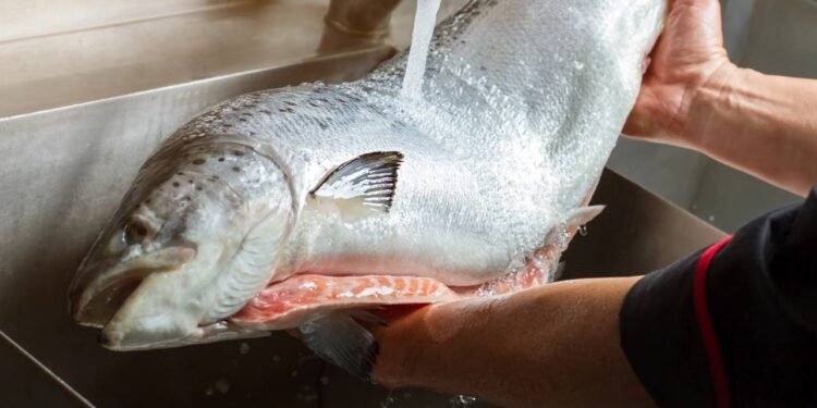 Lavar o peixe antes de preparar? Chef explica por que não fazer isso