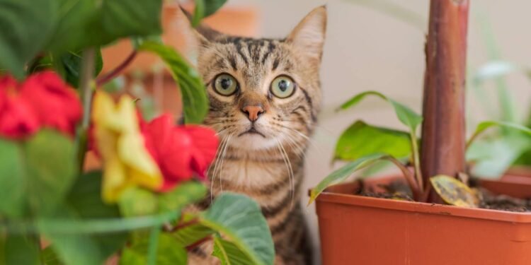 Créditos: depositphotos.com / Krakenimages.com