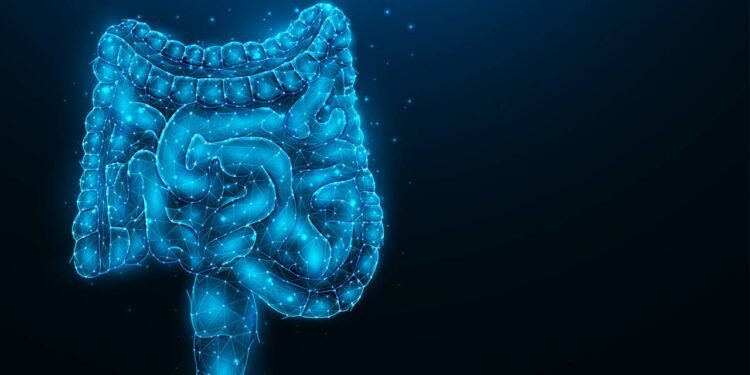 Atente-se aos principais sinais de câncer de intestino