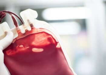 Recusa de transfusão de sangue: o que a lei brasileira diz sobre isso