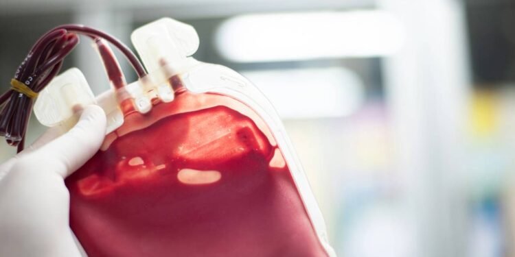 Créditos: depositphotos.com / toeytoey