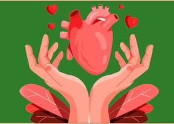 Entenda os critérios técnicos, o tempo de espera e os desafios enfrentados por milhares de pacientes que aguardam por um novo órgão.