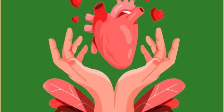 Entenda os critérios técnicos, o tempo de espera e os desafios enfrentados por milhares de pacientes que aguardam por um novo órgão.