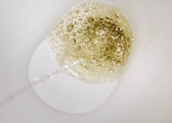 O que a urina espumosa diz sobre o funcionamento dos rins