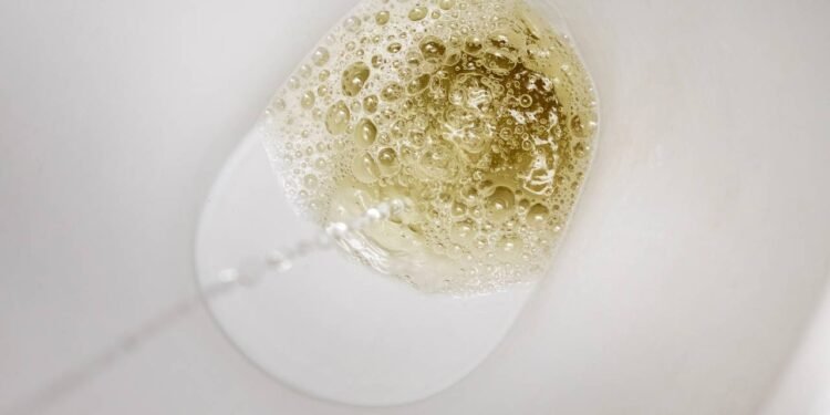 Créditos: depositphotos.com / MVolodymyr