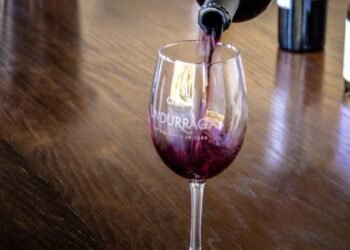 Vinhos chilenos: 5 rótulos aclamados que você encontra no Brasil