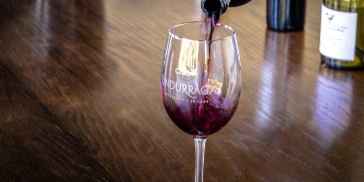 Vinhos chilenos: 5 rótulos aclamados que você encontra no Brasil