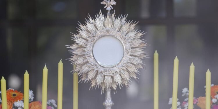 Créditos: depositphotos.com / sidneydealmeida