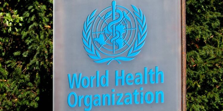 O que é a 'Doença X' e por que a OMS a considera uma ameaça