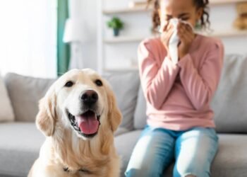 Alergia a animais: causas e tratamentos mais modernos