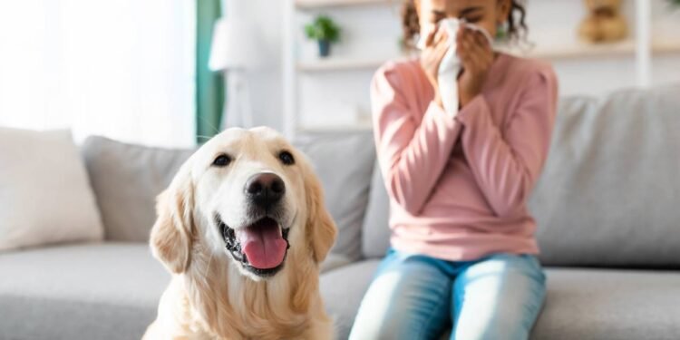 Alergia a animais: causas e tratamentos mais modernos