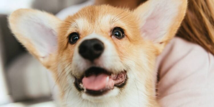 Créditos: depositphotos.com / AllaSerebrina