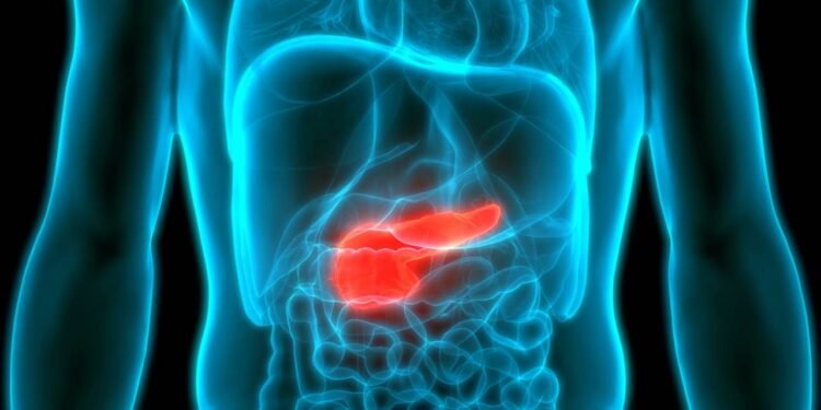 Câncer de pâncreas: 7 sinais silenciosos para se atentar