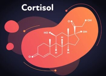 Cortisol alto? 5 alimentos que ajudam a controlar o hormônio do estresse