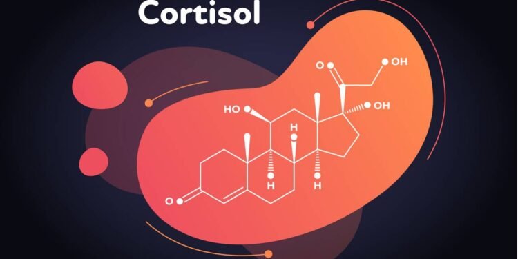 Créditos: depositphotos.com / Tasty_Cat
