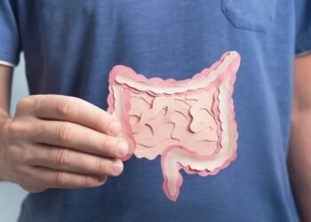 5 ervas e especiarias para chás que ajudam a digestão após exageros