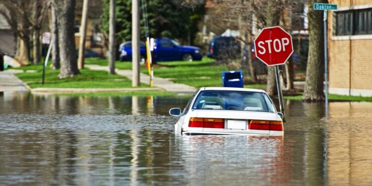 Créditos: depositphotos.com / welcomia