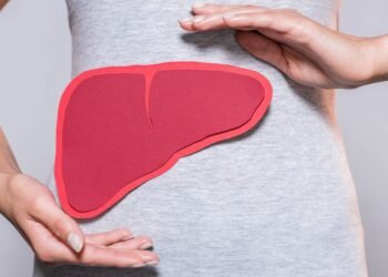 Além da carqueja: 5 plantas medicinais para proteger seu fígado