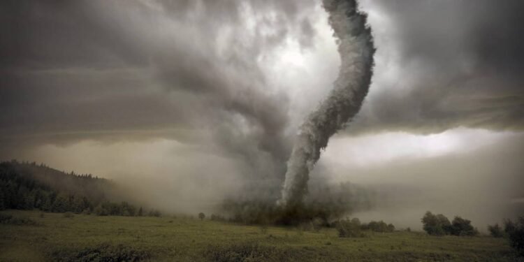 Créditos: depositphotos.com / vicnt2815