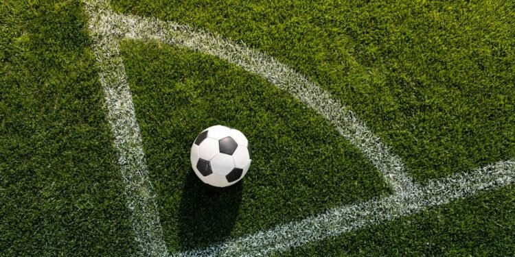 Créditos: depositphotos.com / ArturVerkhovetskiy