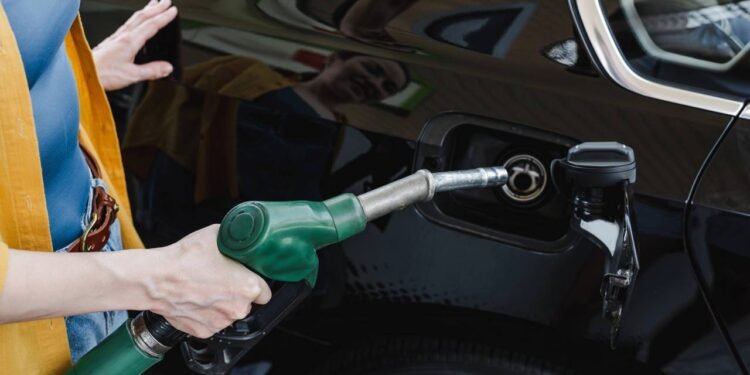 Créditos: depositphotos.com / AndrewLozovyi