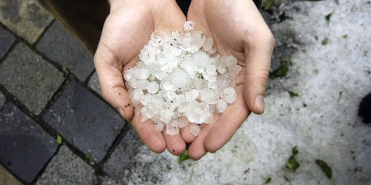 Créditos: depositphotos.com / egubisch