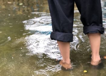 Chuva intensa aumenta o risco de leptospirose; veja como se proteger