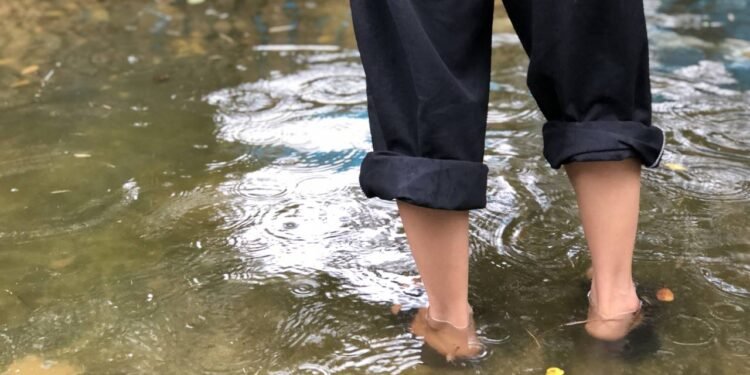 Chuva intensa aumenta o risco de leptospirose; veja como se proteger