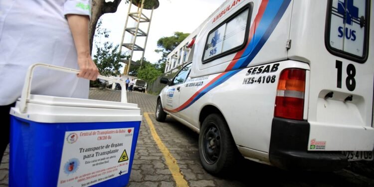 Créditos: depositphotos.com / joasouza