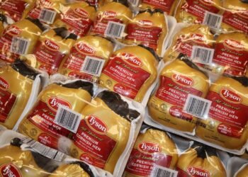 Como a Tyson Foods experimentou com carne de laboratório