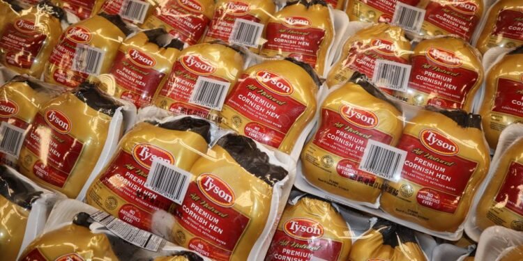 Como a Tyson Foods experimentou com carne de laboratório