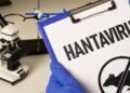 Hantavírus: 7 cuidados essenciais para evitar o contágio pela doença