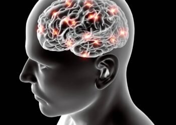Como os microplásticos chegam ao cérebro? Entenda a rota no corpo