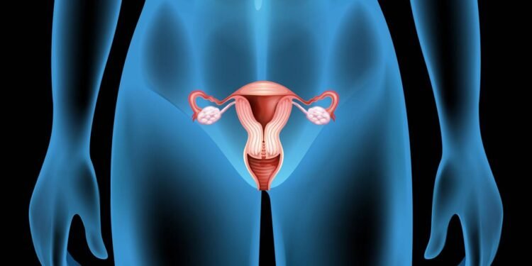 Câncer de endométrio: quais os sinais que o corpo dá e como prevenir