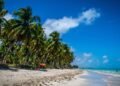 Maragogi em alta: 7 praias paradisíacas de Alagoas para conhecer