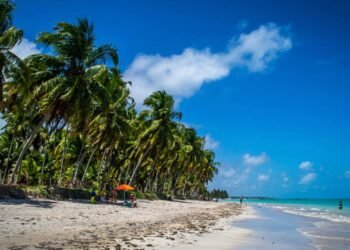 Maragogi em alta: 7 praias paradisíacas de Alagoas para conhecer