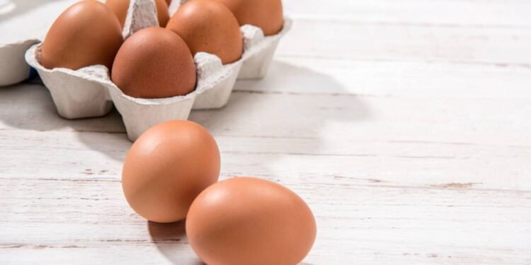 Comer um ovo por dia faz bem ou mal? Nutricionista tira a dúvida