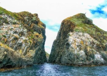 Tasmânia: um roteiro de 5 dias pela ilha selvagem da Austrália