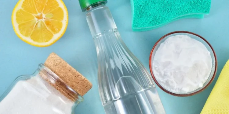 O vinagre branco, por exemplo, possui propriedades que vão além da remoção de manchas (Créditos: depositphotos.com / geo-grafika)