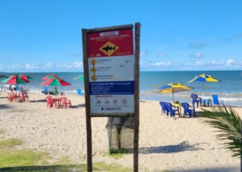 É seguro nadar em Recife? Veja as praias com e sem risco de tubarão