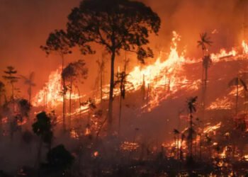 Fumaça de queimadas: os riscos invisíveis para a sua saúde no tempo seco