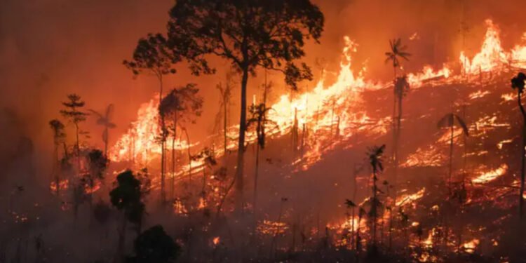 Fumaça de queimadas: os riscos invisíveis para a sua saúde no tempo seco