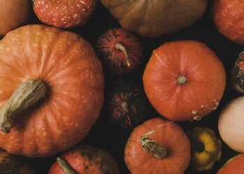 Alimentos da estação: o que comer em junho para economizar e ser saudável