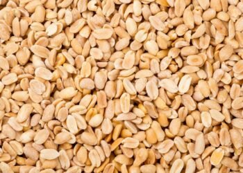 5 receitas fáceis e saudáveis com amendoim para fazer em casa