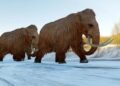 Como cientistas ‘ressuscitam’ animais extintos com tecnologia 3D
