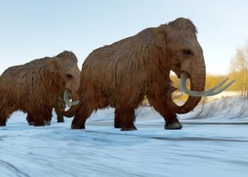 Como cientistas ‘ressuscitam’ animais extintos com tecnologia 3D