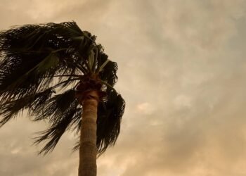 Como agir em caso de furacão durante uma viagem ao Caribe?