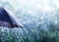 Cheiro de chuva e outros ‘sinais da natureza’: o que a ciência explica?